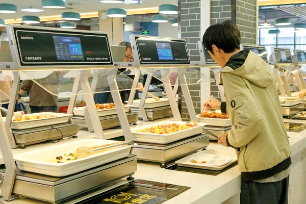 星级酒店的使用体验，快餐店的价格。